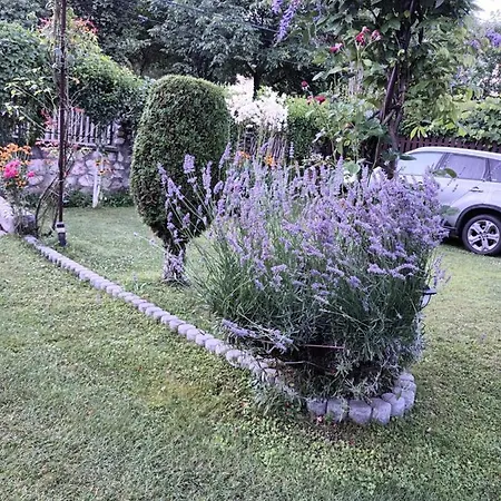 Casa Bunicii *