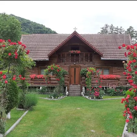 Casa Bunicii Guest house Costesti (Hunedoara)