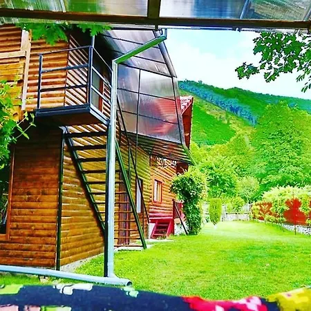 Casa Bunicii * Costesti (Hunedoara)