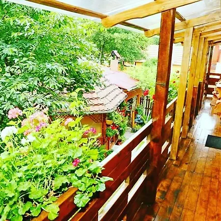 Casa Bunicii Guest house
